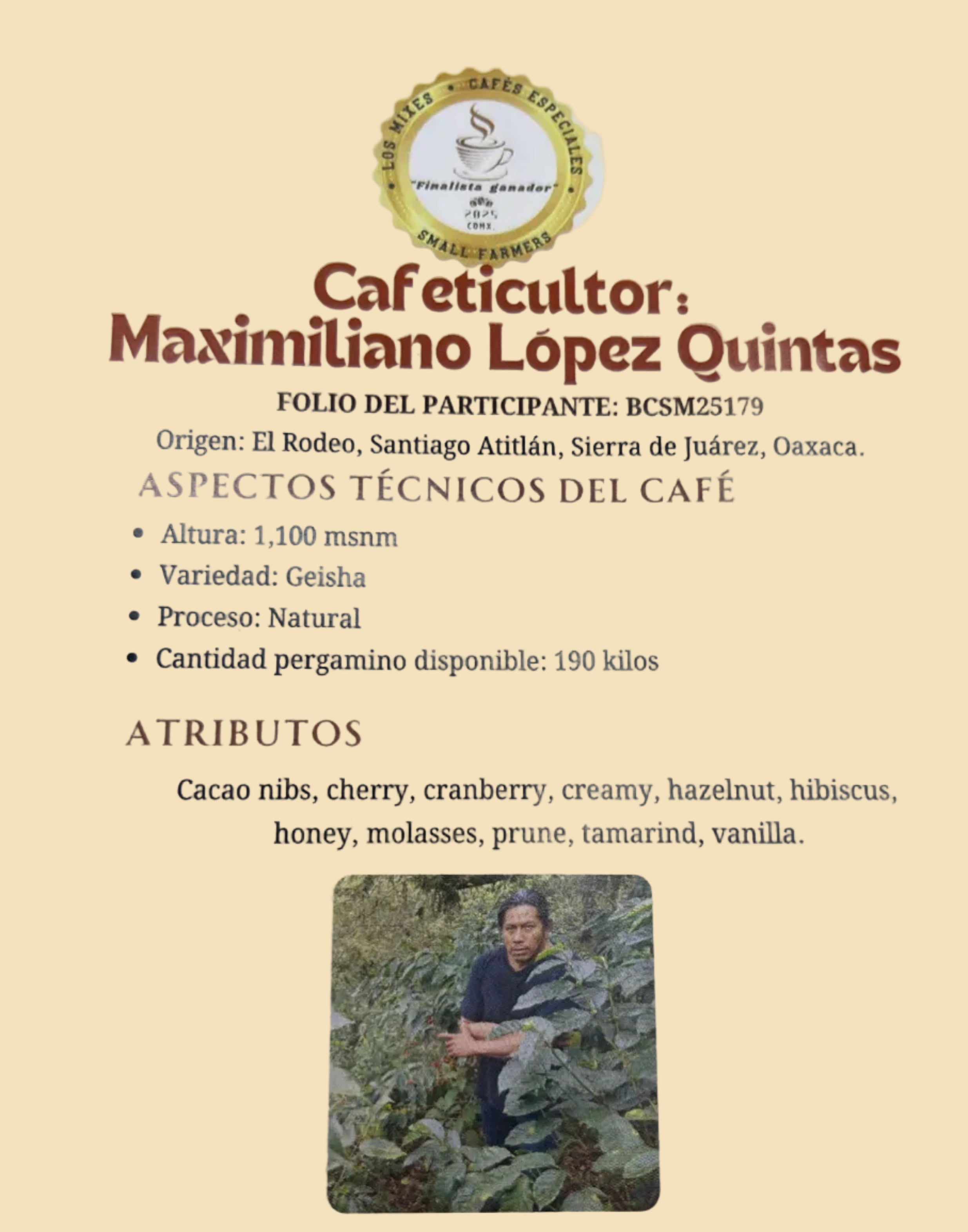 Café de Maximiliano López Quintas Gesha Natural, Montañas Mixe 250gr.