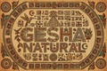 Café Gesha Natural Montañas Mixe