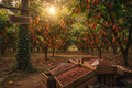 Cacao fermentado Hacienda Napaná Chiapas